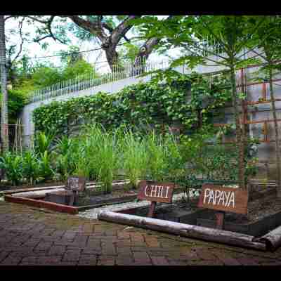 Villa Samadhi by Samadhi - Age 12 and Above Only Hotel Exterior