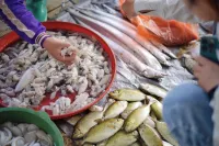 Fangpo Village, Xuwen County, Zhanjiang City