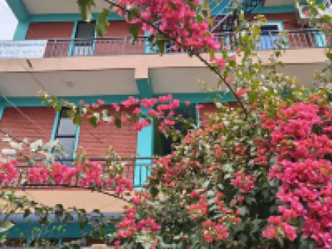 Harry Guest House & Restaurant Hotels near Peace Pagoda ( Japanese Gumba)