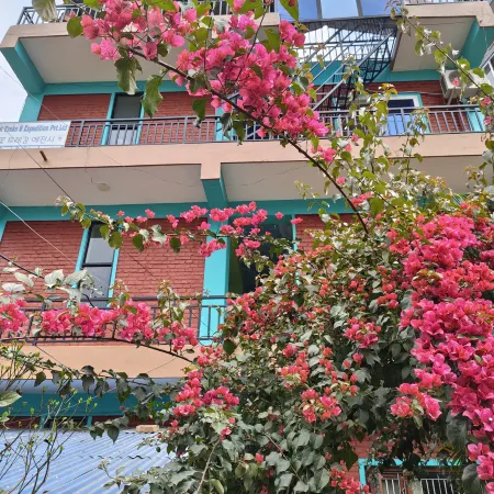 Harry Guest House & Restaurant