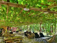Friends of Turpan · Adaxi Homestay (Putaogou Scenic Area Store)