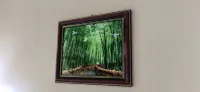 蜀南竹海竹影山荘