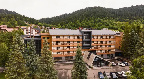 Bakuriani Inn Hotel