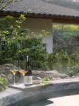 Buzzy Sunny - Hot Springs
