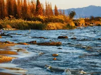 Spring River Flower Moon Hotel (Kunming Dianchi Haigeng Dam) Hotels near Haigeng Dam