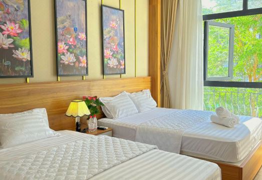 뉴 시티 홈스테이