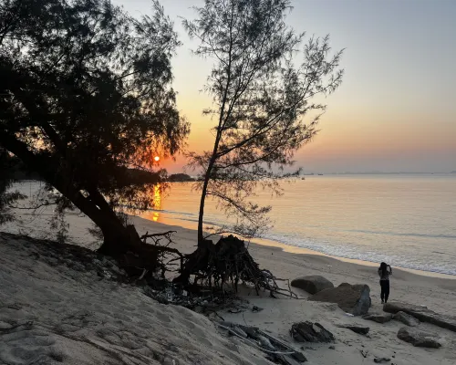 summer view (Huizhou Huidong Xunliao Bay) بالقرب من الفندق Photos