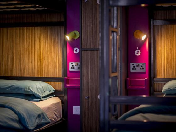 踢屁屁草市場-僅限18歲以上入住