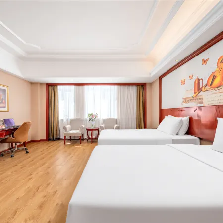 Vienna International Hotel (Alxa)