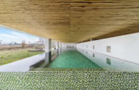 成都溫江右岸天鵝湖民宿