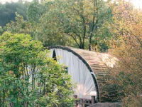 Paradise Hot Spring Hotel - Hot Springs