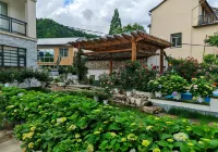 A stream, a smoke Inn Отели в г. Гора Даминшань. ущелье Shimenxia