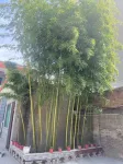 Yixin Travel Hotel (Huashan Scenic Area Branch) - 2 stelle