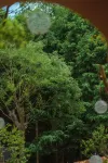 Yuepeng • Forest Vacation Apartment (Ya'an Shangli Store) - palestra