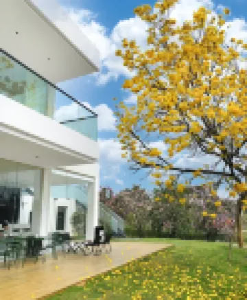 清遠泉現温泉民宿