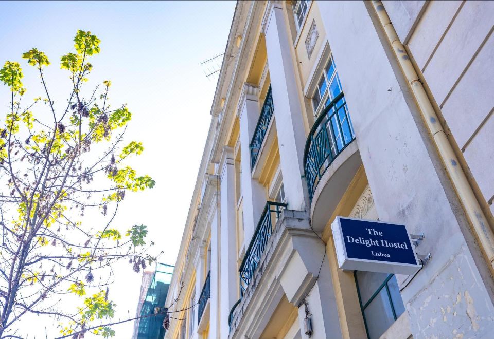 더 딜라이트 호스텔의 아늑한 공용 공간 또는 객실 이미지