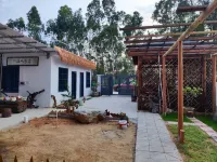 Changjiang Zhenghe Homestay - ห้องครัว