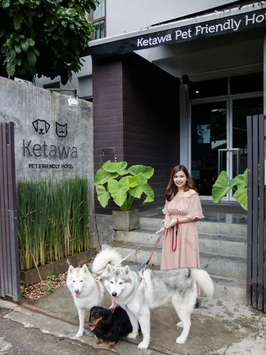 รูปภาพของเกตวา เพ็ท เฟรนด์ลี่ โฮเทล