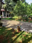 Greenwood Udawalawa Safari Resort Hotels near Diyawini waterfalls