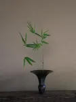 Little Green Earth Art Safari - Varme kilder