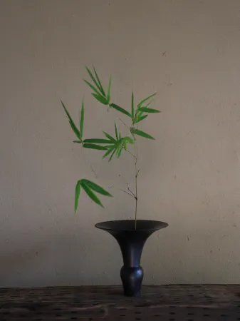 Little Green Earth Art Safari