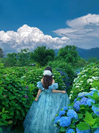 Huangshan Jingyu Shuhuajian Homestay Отели рядом с достопримечательностью «Dawn Pavilion»