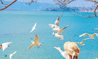 Arcadia . Anyin WaterTime Seaview Resort hotel