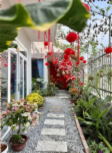T HOMESTAY BINH MINH XANH Hotels in 