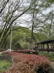 Qingxi She · Mountain Rafting Family Homestay(Ningguo South Anhui) - Mountain view