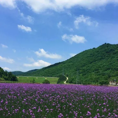 Zhiyuan Rural Art Homestay