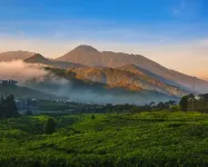 Asyana Sentul Bogor - Mountain view