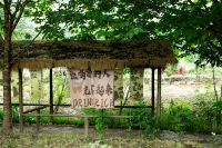 Fengqing Island Qipan Homestay, Huangguoshu - breakfast