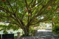 Wenzhou yaoxi International Hotel - Balkoner