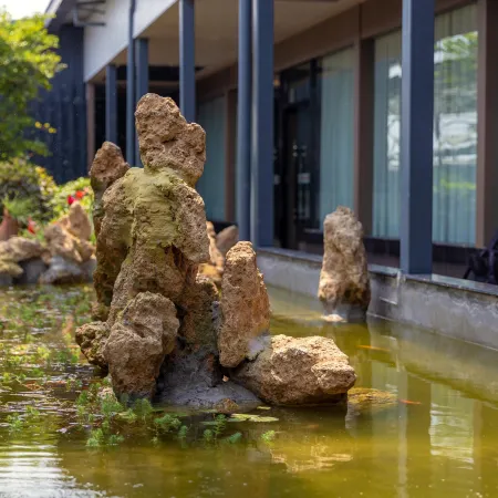 Sierte Hotel (Zigong Fangte Dinosaur Kingdom)