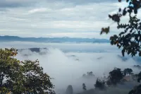 บาลา วิลล่า ดอยช้าง - วิว