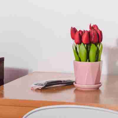 Gabz'k Travellers Inn Rooms