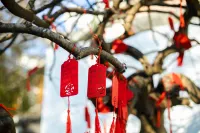 普陀山洛迦虛谷收藏飯店