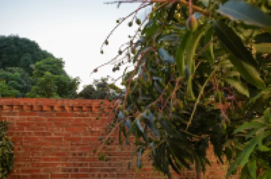 Pujin Garden Hot Spring Hotel (Mile Huquan)