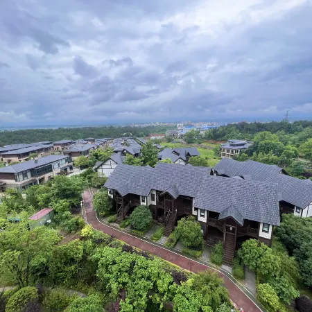 Shanshui wutong Wooden House Villa in Pingjiang County