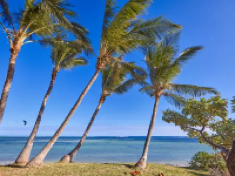 Riu Palace Mauritius - All Inclusive - Adults Only Hotels in Mauritius