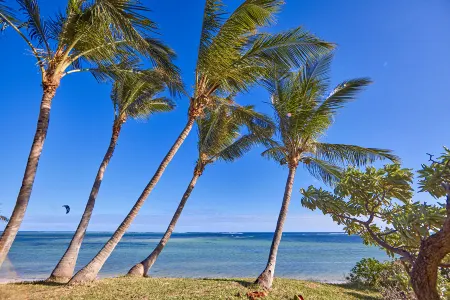 毛里求斯悅宜灣奢享-僅限成人