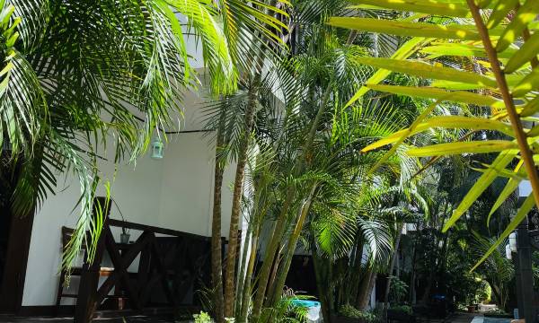 Nirvana Beach Resort