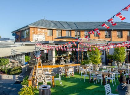 無花果樹飯店 伍倫貢