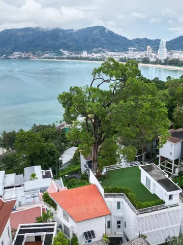 รูปภาพของชัยชนะใน