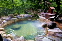 Changbai Mountain Landscape International Eco-Exchange Center - Gym