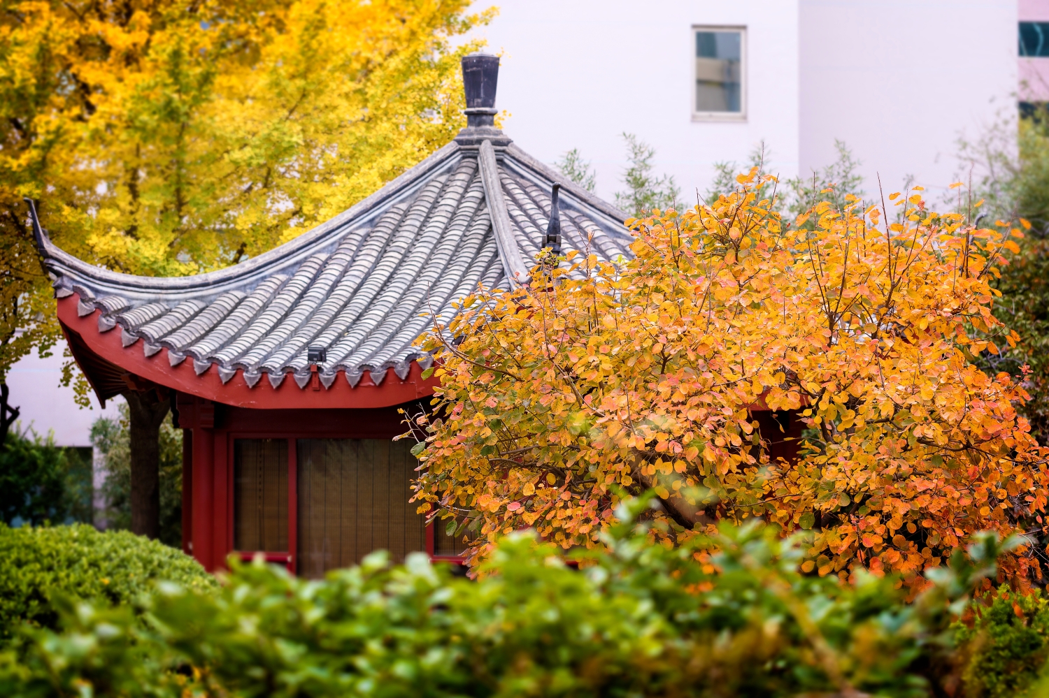 Hotel New Otani Chang Fu Gong Hotel Overview