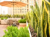 Zhuhai Rollin Hotel Hotels near Tongxin Park