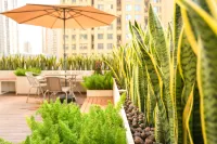 Zhuhai Rollin Hotel Hotels near MACAU ISLANDS ＆ HZM BRIDGE CRUISES