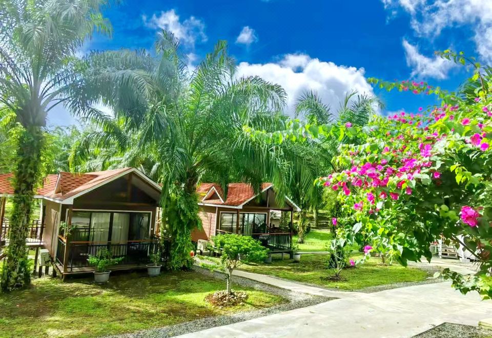 5. Palm Lak..