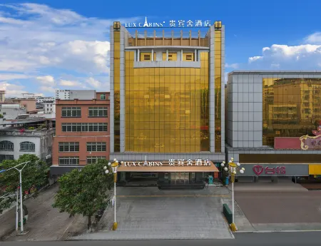 VIP House Hotel (Heyuan Avenue Asia's No. 1 Highest Fountain Store)